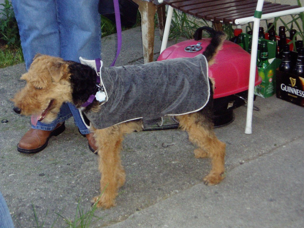 (2007-08-28) Doggy Dudds Pet Fashion Show